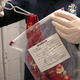Police examine a piece of evidence.